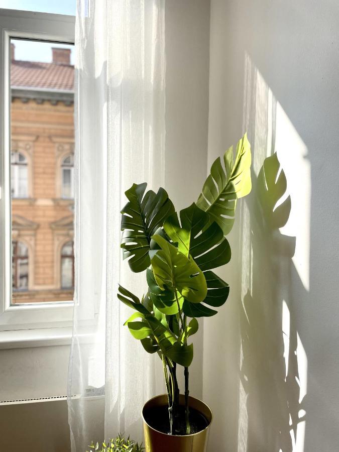 Eotvos 25 Apartment Budapeszt Zewnętrze zdjęcie